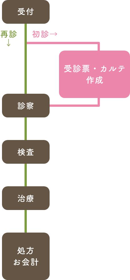 初診、再診時の診療の流れを示した図