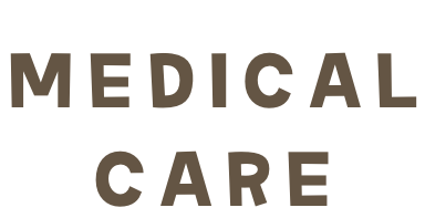 Medical care